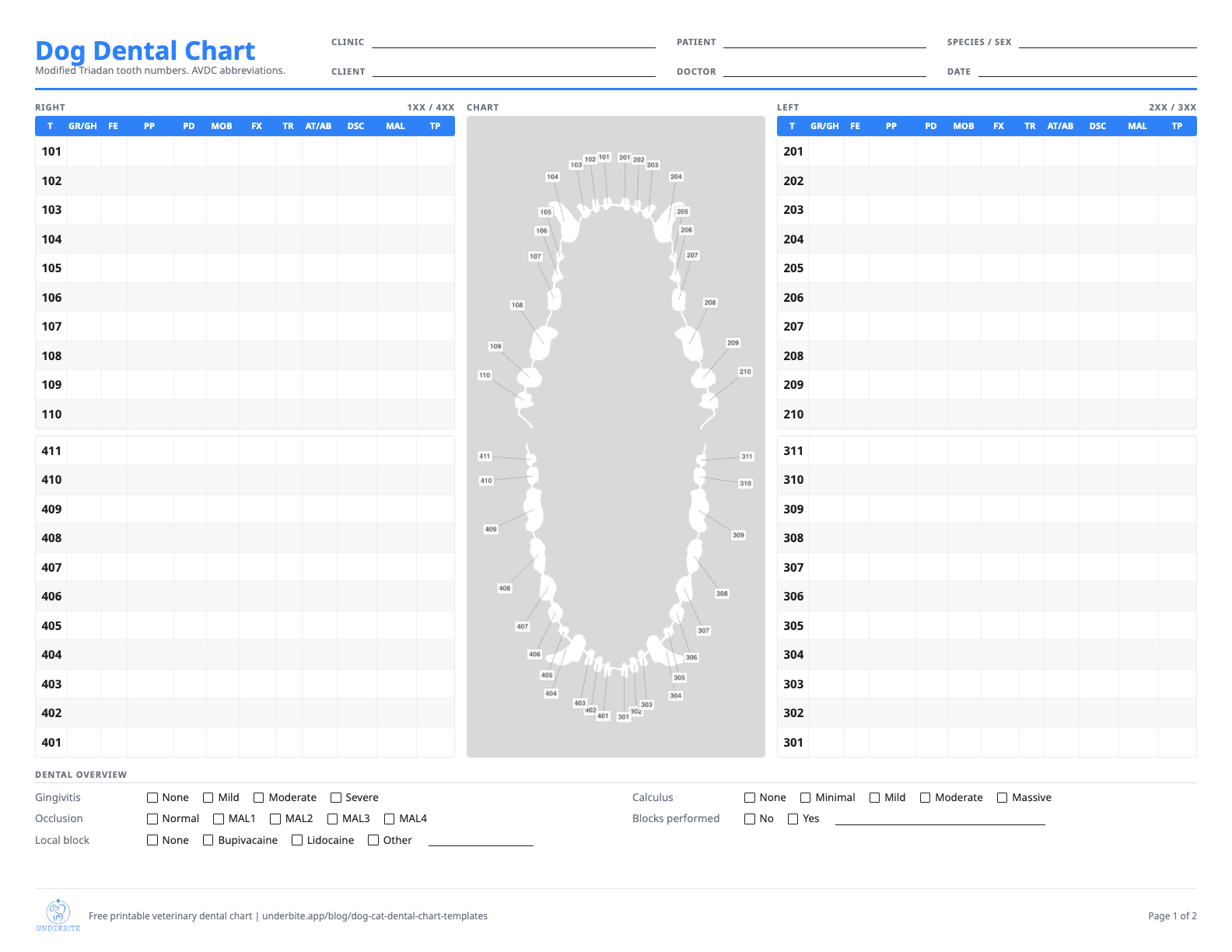Printable dog dental chart template